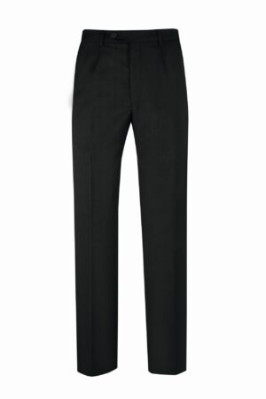 Herren Hose Basic Regular Fit
