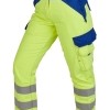 warngelb kornblau